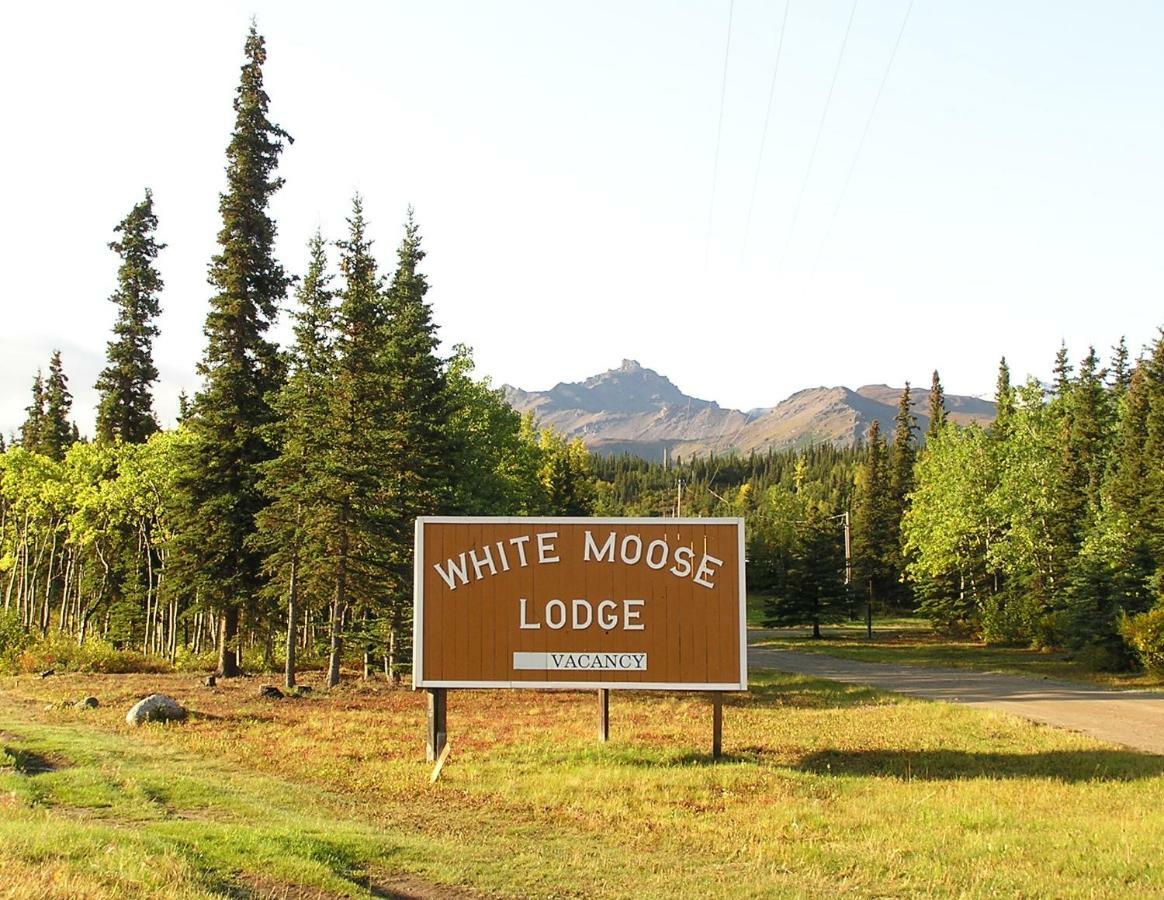 White Moose Lodge Healy Exterior foto