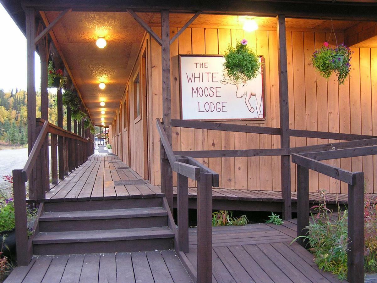 White Moose Lodge Healy Exterior foto